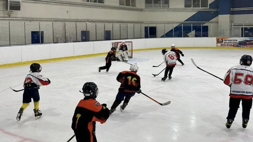 Источник: пресс-служба администрации Павлово-Посадского городского округа