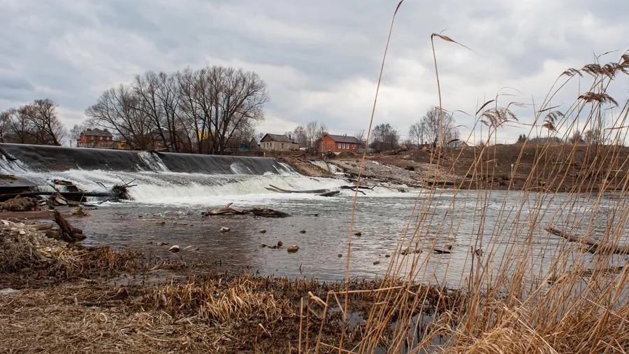 Фото: медиасток.рф