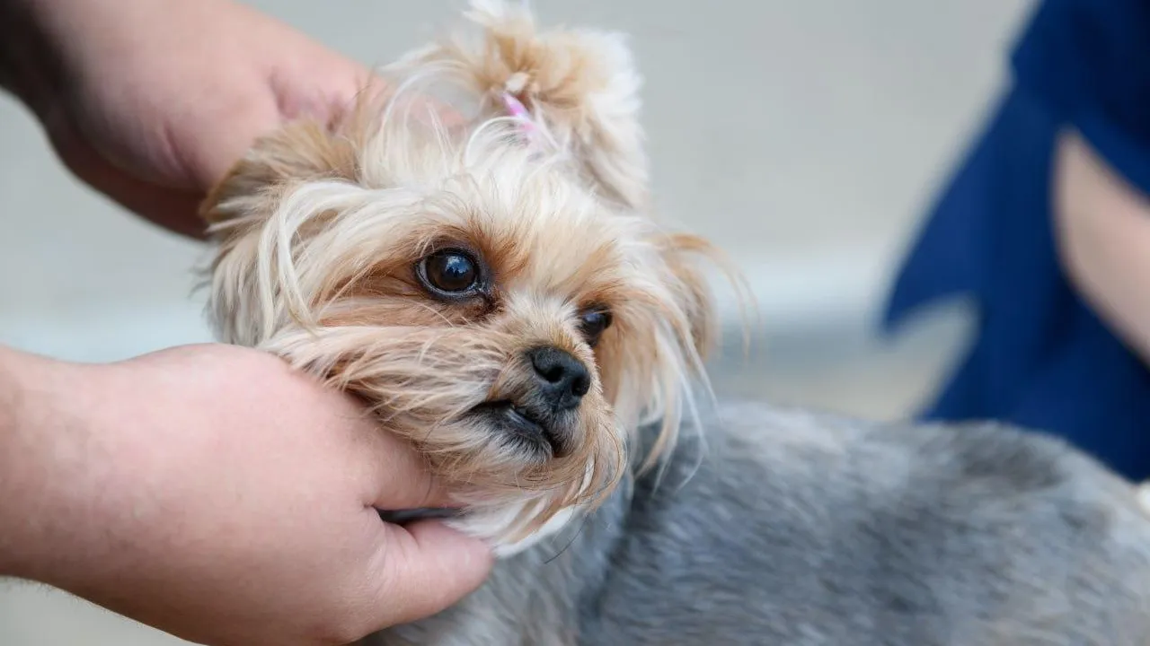 пресс-служба Администрации г.о. Лыткарино