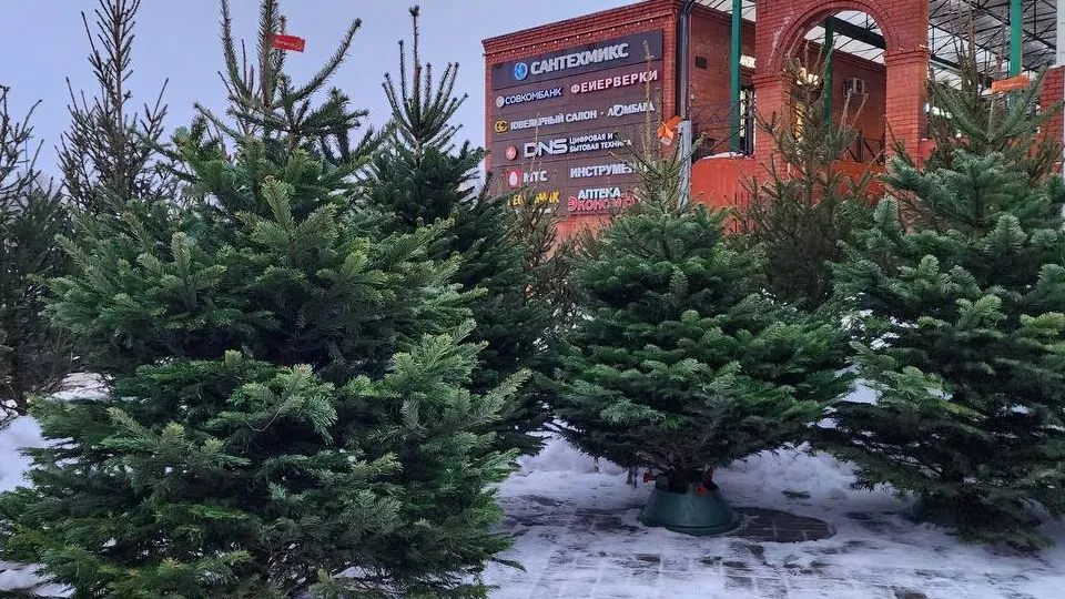 Фото: МедиаБанк Подмосковья/Мария Юдина