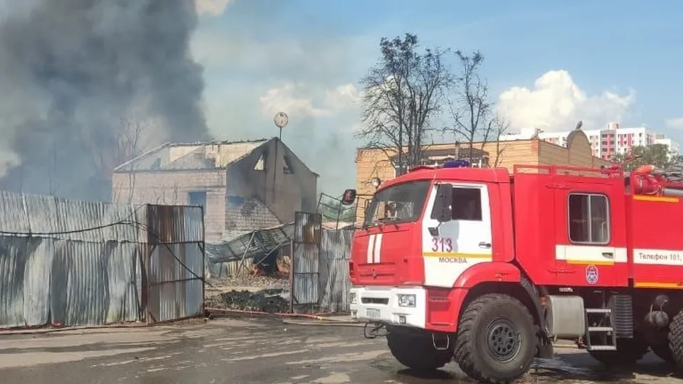 Фото: Прокуратура Московской области