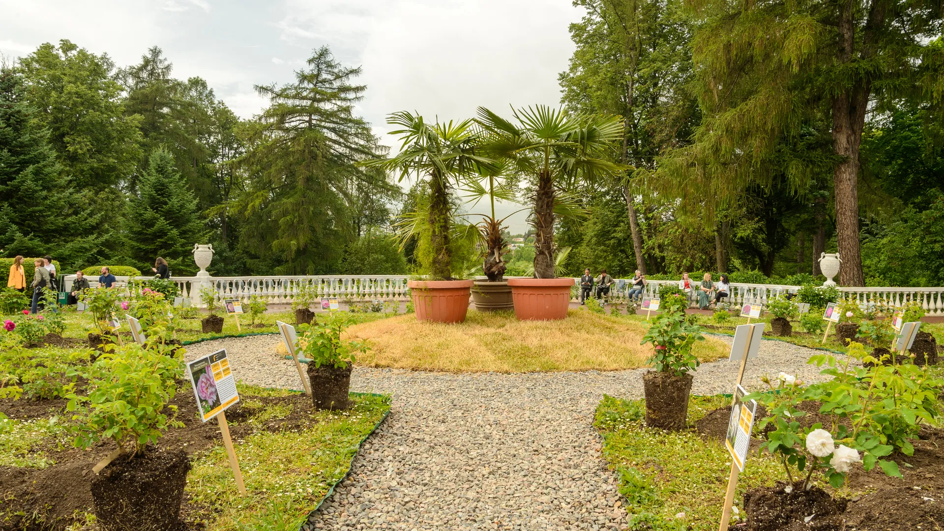 Втрое дешевле «Аэрофлота»: туристы нашли способ слетать в Мале за 33 тысячи рублей