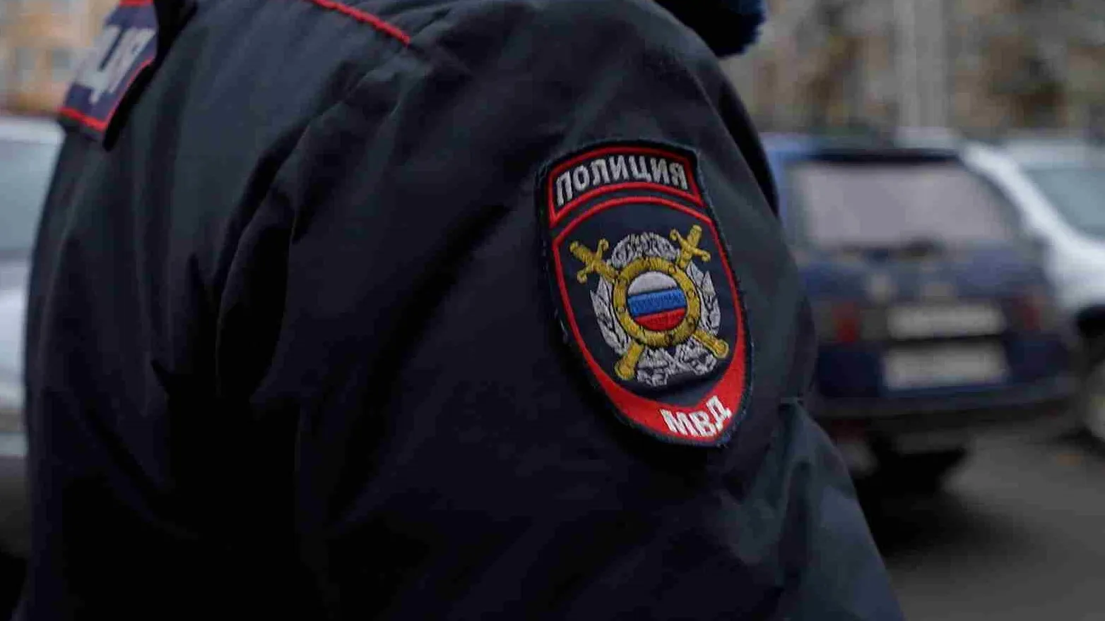 Фото: Наталия Надточая