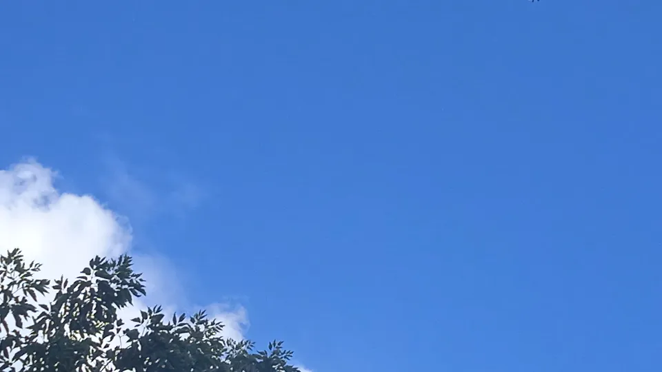 Фото: REGIONS/Юлия Куделькина