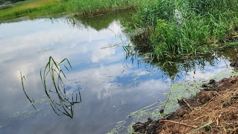 Фото: REGIONS/Валерий Гореловский