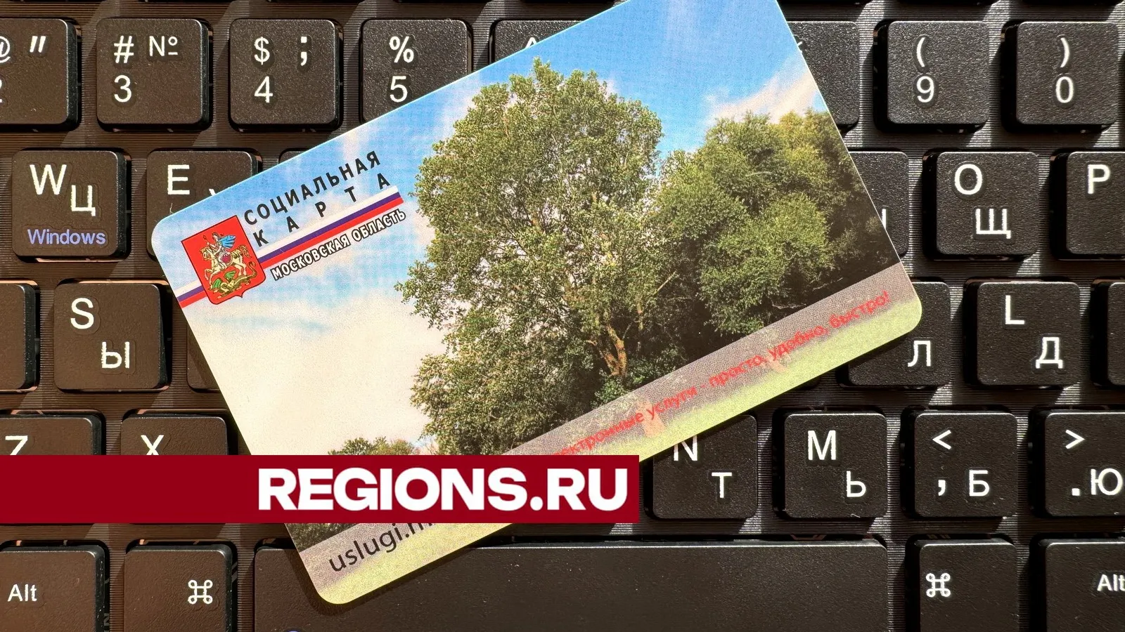 Фото: Александр Легкий