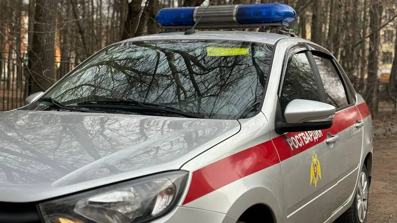 МедиаБанк Подмосковья/Светлана Плотникова