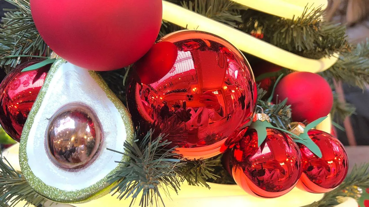 Фото: REGIONS/Елена Фурман