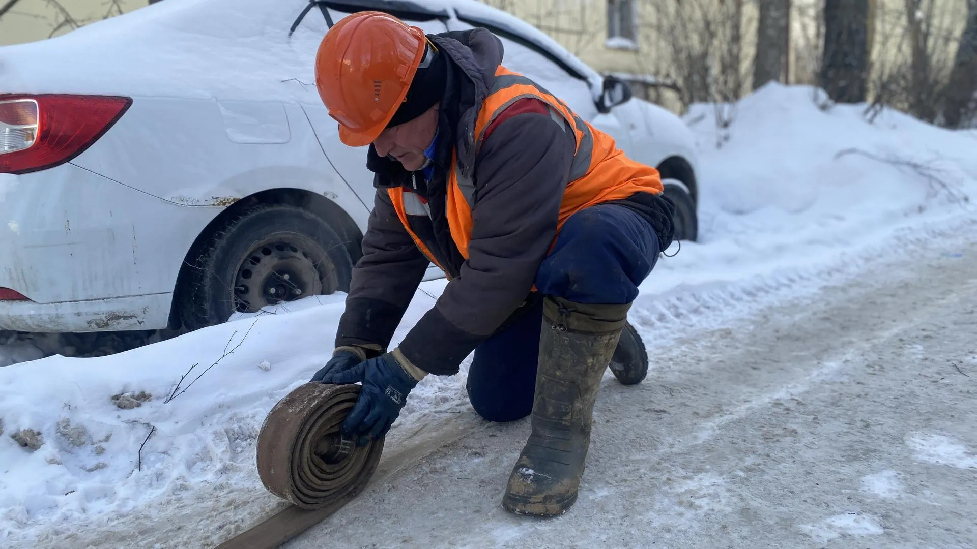 Анна Артюшина