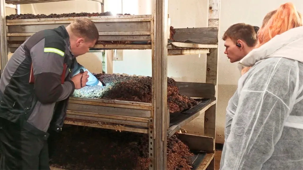 vk.com/Луховицкий аграрно-промышленный техникум