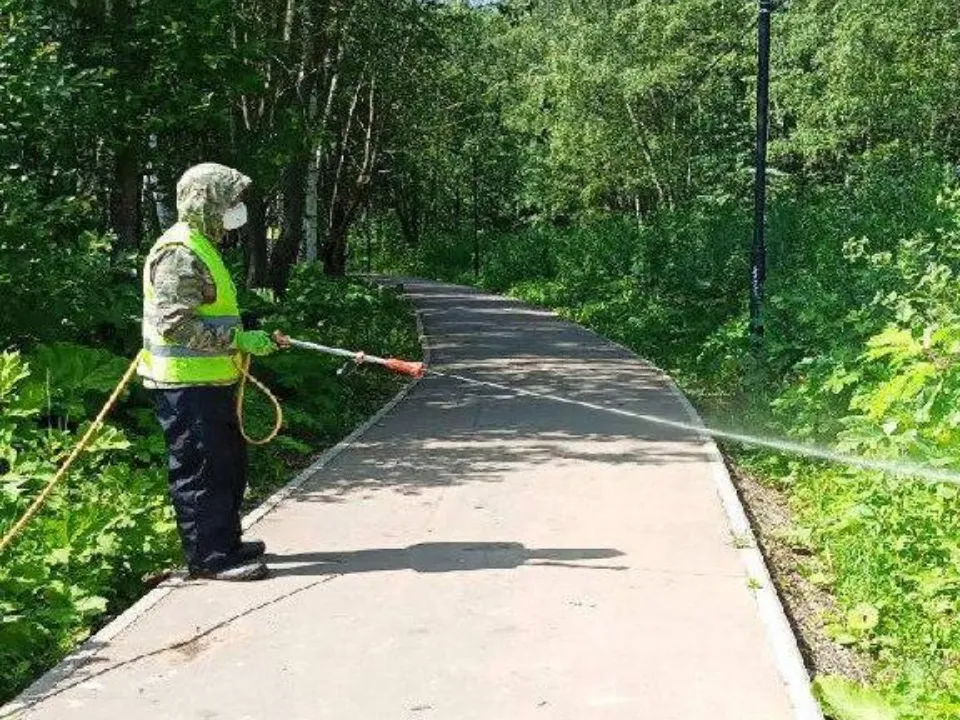 Фото: пресс-служба администрации Ленинского г.о.