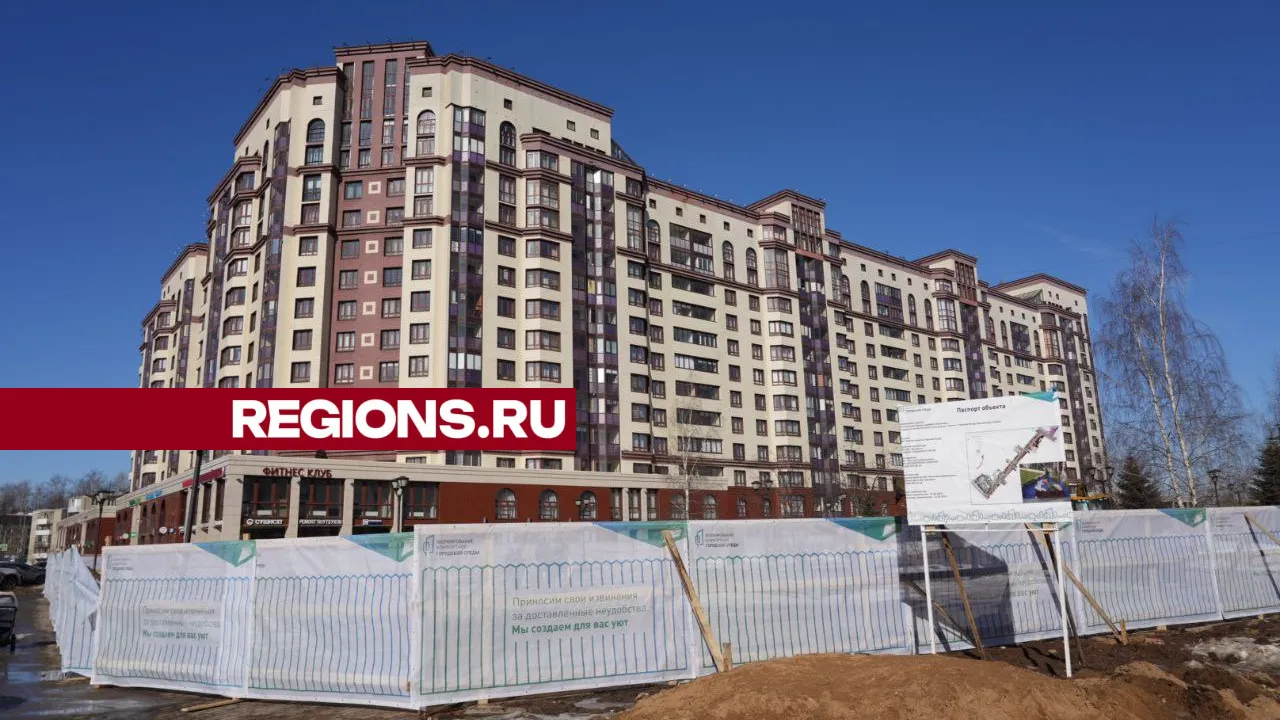 Фото: Дмитрий Зайчиков