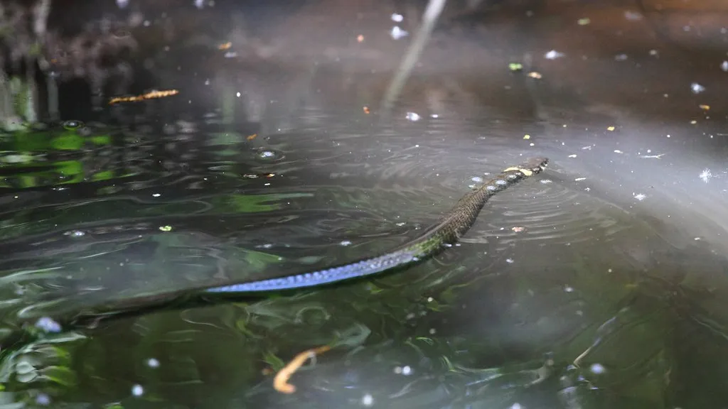 Фото: Владимир Шленсков