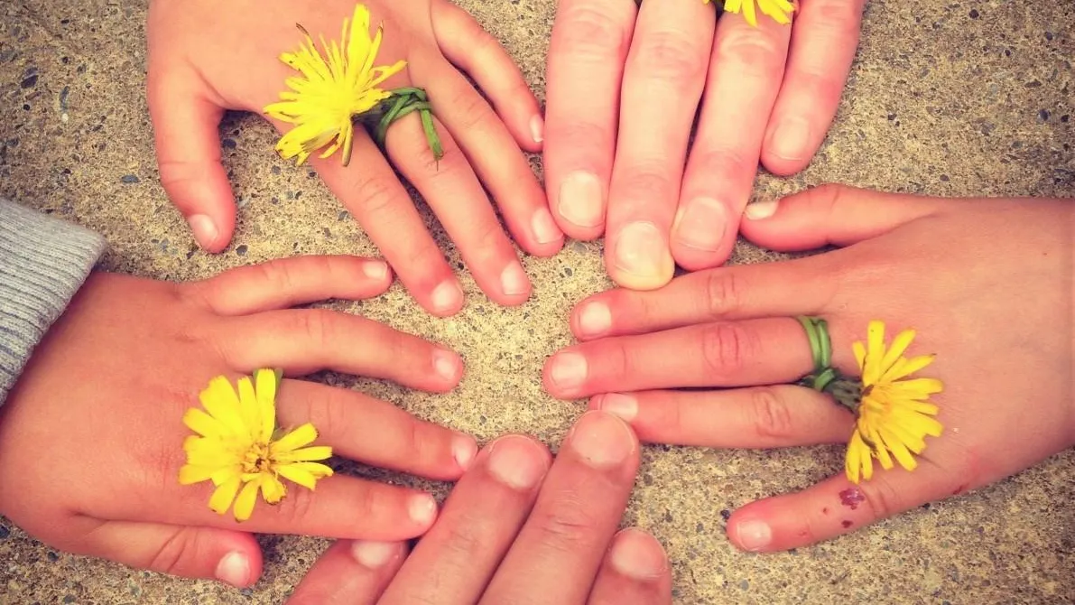 Фото: pxhere.com