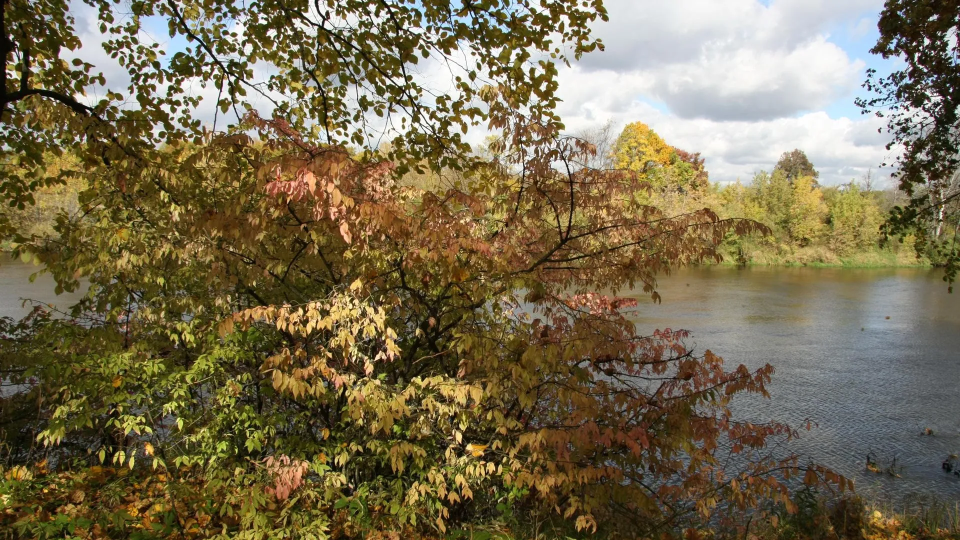 REGIONS/Владимир Ерастов