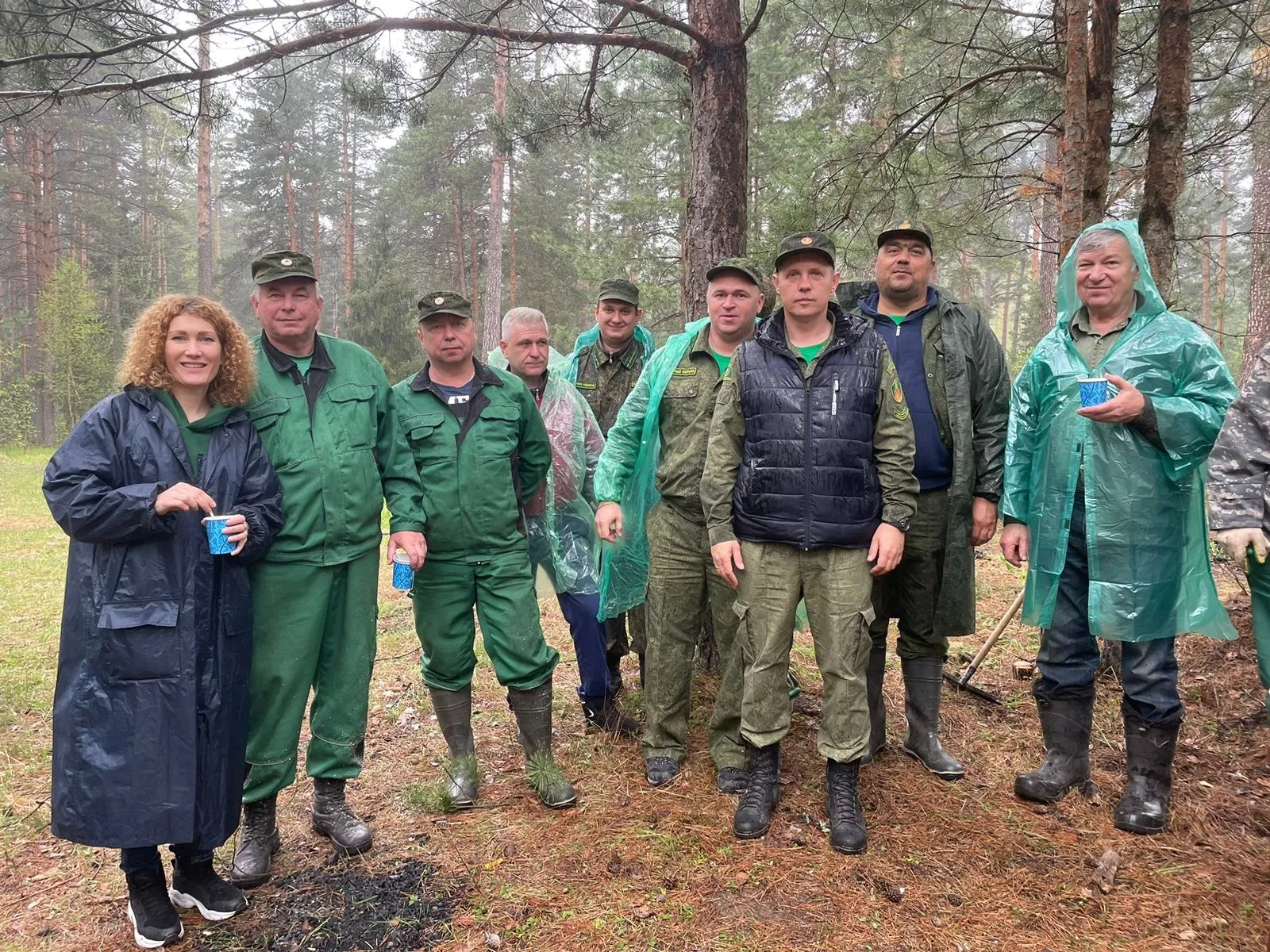 Фото: Егорьевское лесничество