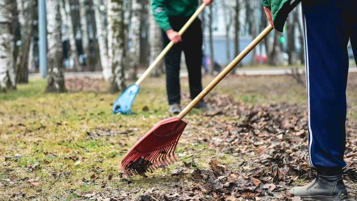 Фото: Министерство благоустройства Московской области