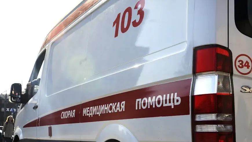 Татьяна Коробейник/Фотобанк Московской области