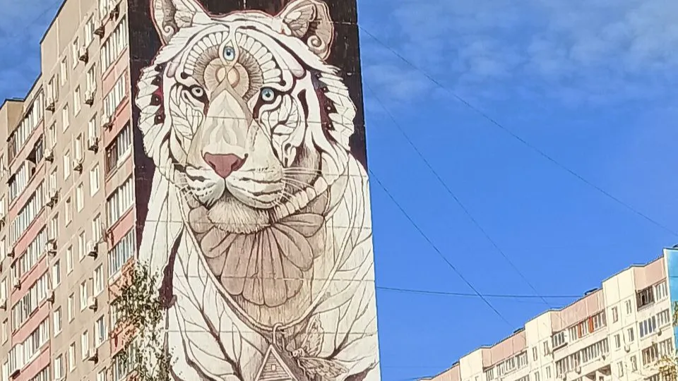 Фото: Активное долголетие Электросталь