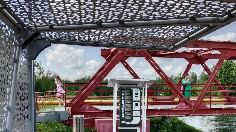 В парке Ивантеевки позаботились о правильном корме для уток