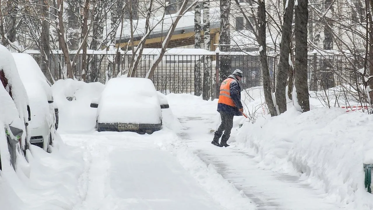 МедиаБанк Подмосковья/Валерия Исаева