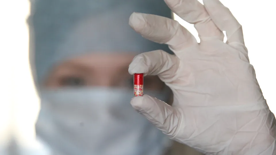 Фото: медиасток.рф