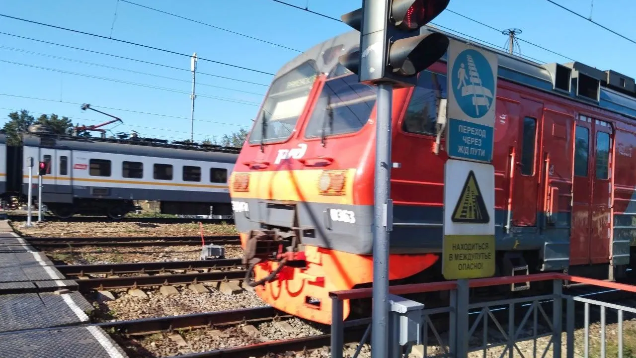 Фото: Раменский медиацентр