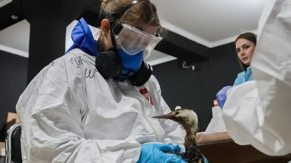 Фото: Владислав Пивоваров