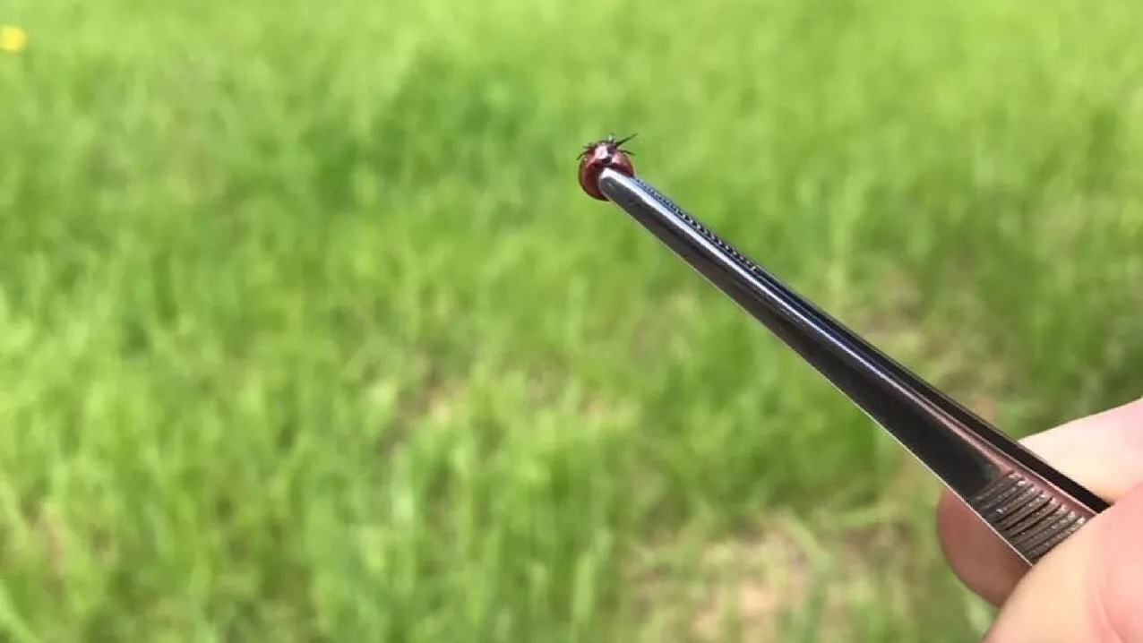 Министерство сельского хозяйства и продовольствия Московской области