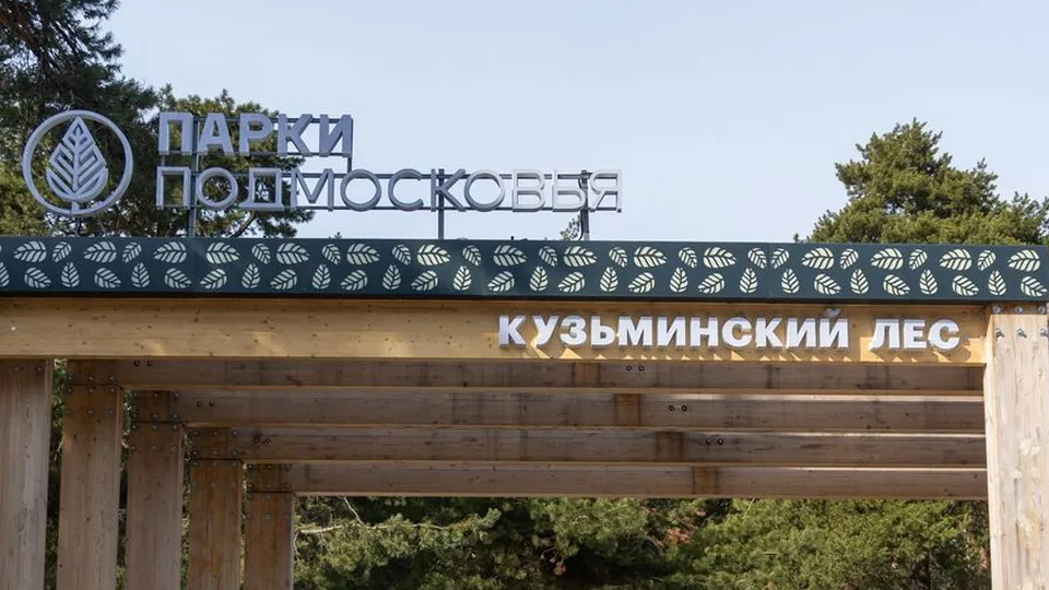 Фото: медиасток.рф