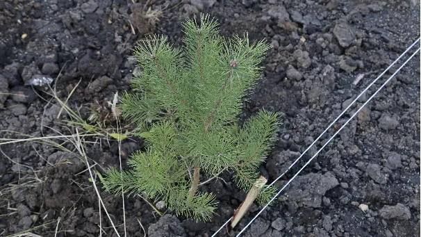 Фото: Александр Дрожжин