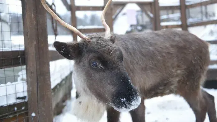 медиасток.рф