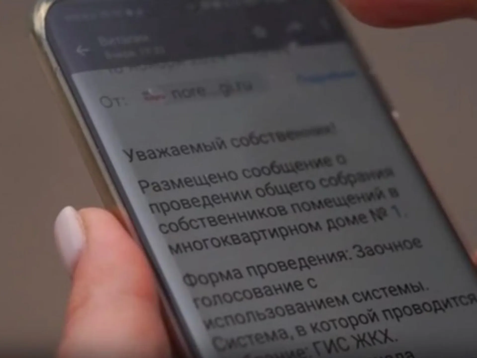 Фото: пресс-служба администрации муниципального округа Шатура&nbsp;&nbsp;