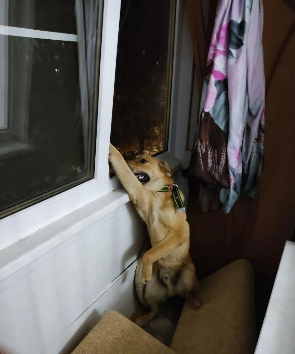 Фото: ГКУ МО «Мособлпожспас»