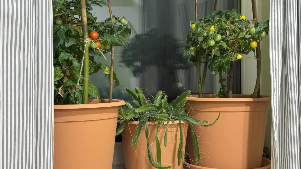 Фото: REGIONS/Илья Попов