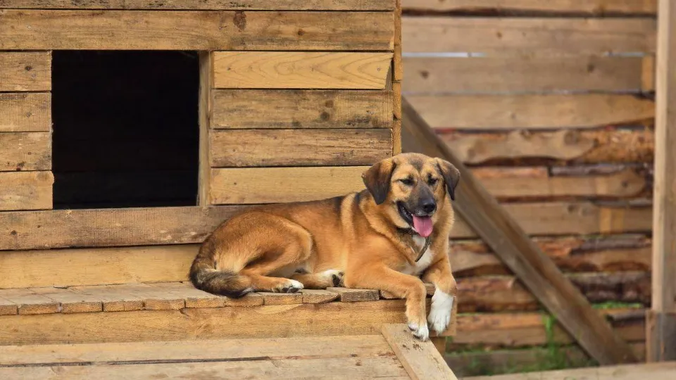 Фото: Яна Шаливская