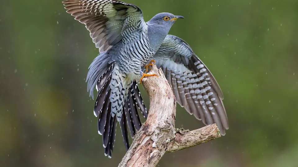 Фото: istockphoto.com