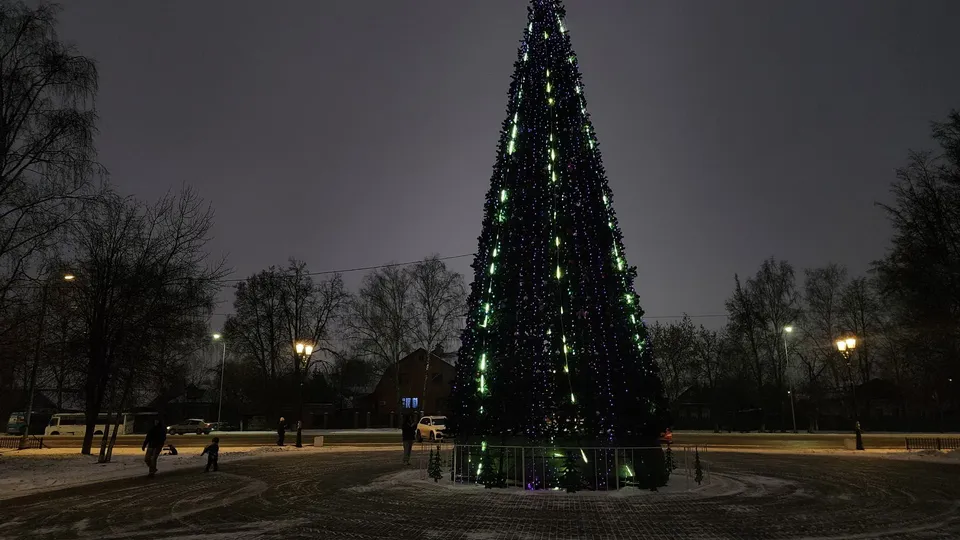 Фото: МедиаБанк Подмосковья/Ксения Пашуто