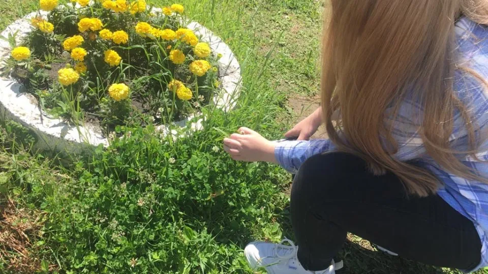 Фото: vk.com/Чеховская молодежь