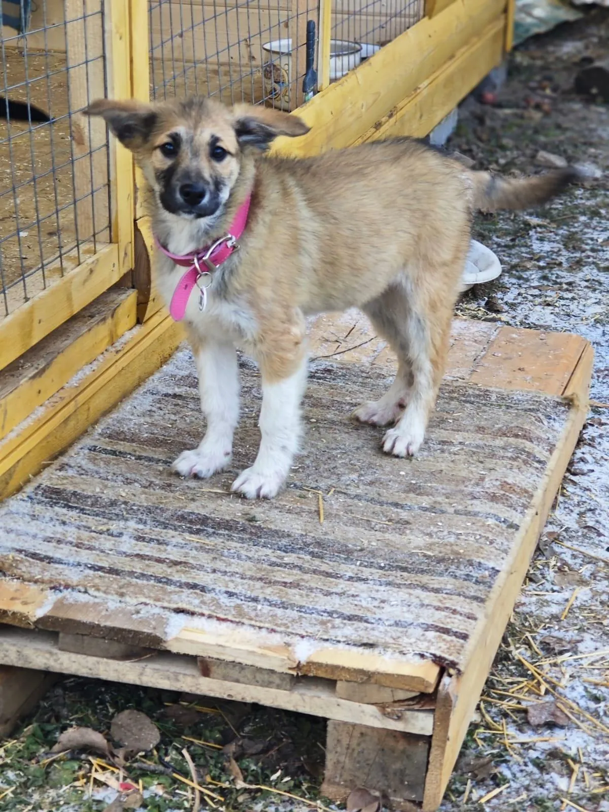 Фото: Подслушано на Глебовке (новая) / ВКонтакте