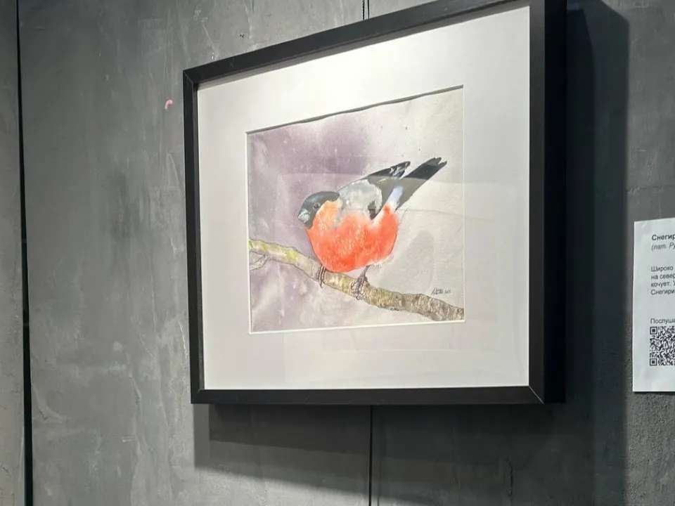 Фото: пресс-служба администрации г.о. Черноголовка