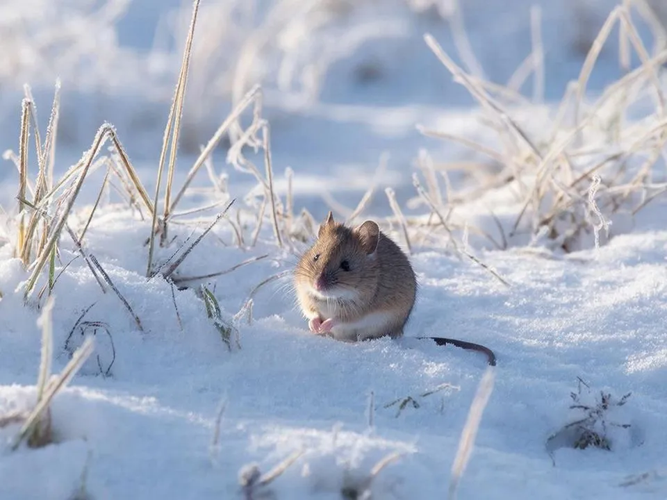 Фото: REGIONS/Сгенерировано нейросетью