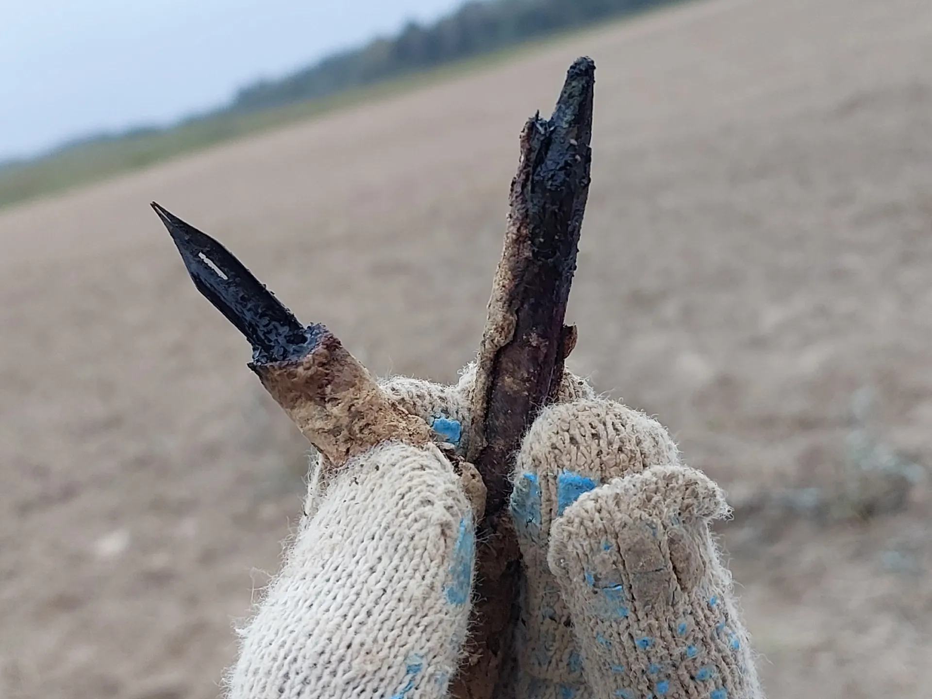 Фото: Поисковый отряд «БУМЕРАНГ - ДОСААФ» Наро-Фоминск&nbsp;