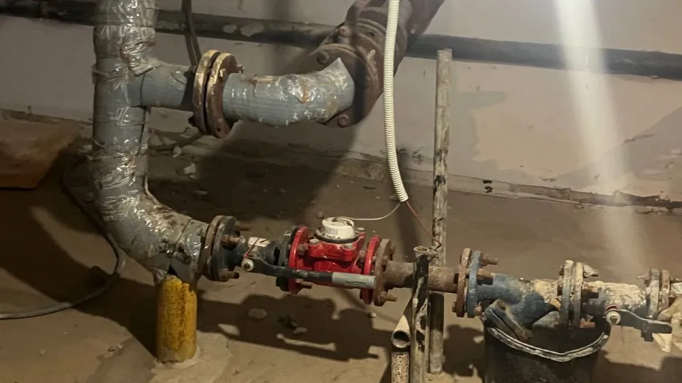 Фото: МедиаБанк Подмосковья/Ксения Афонина