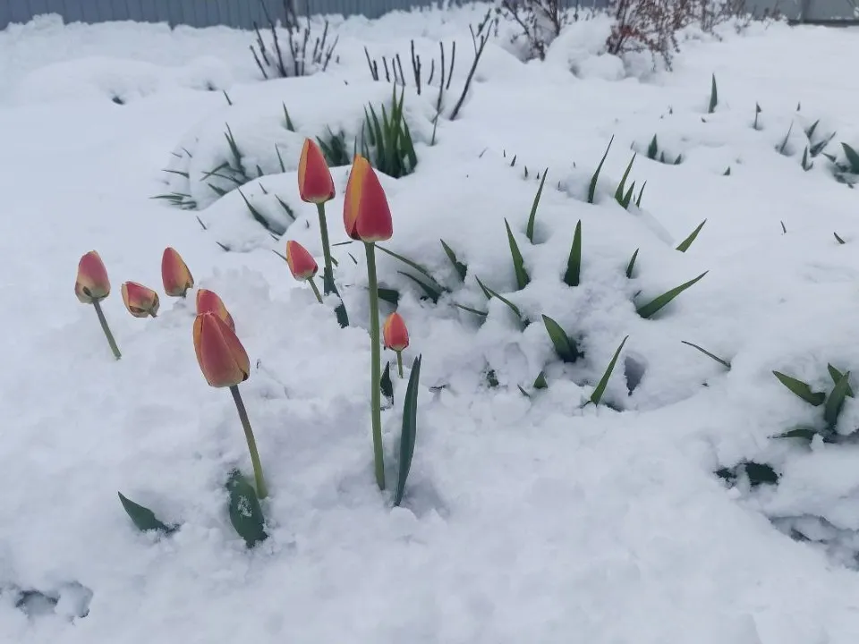 Фото: личный архив Дмитрия Горшкова