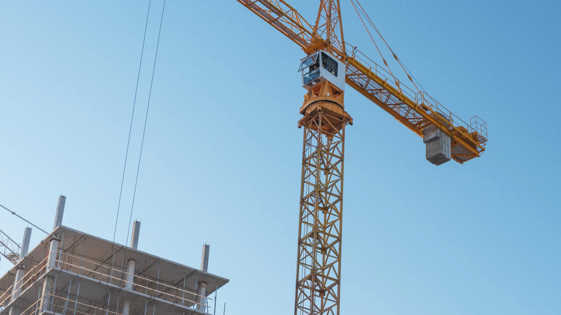 Фото: stock.adobe.com