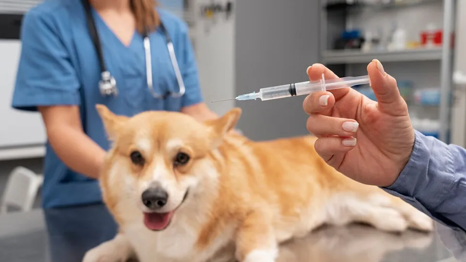 Фото: freepik.com