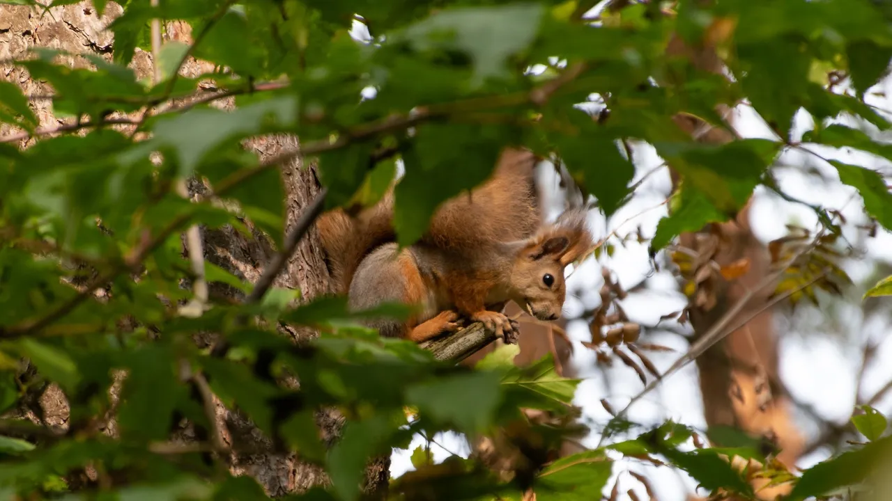 Фото: Евгений Мазепов
