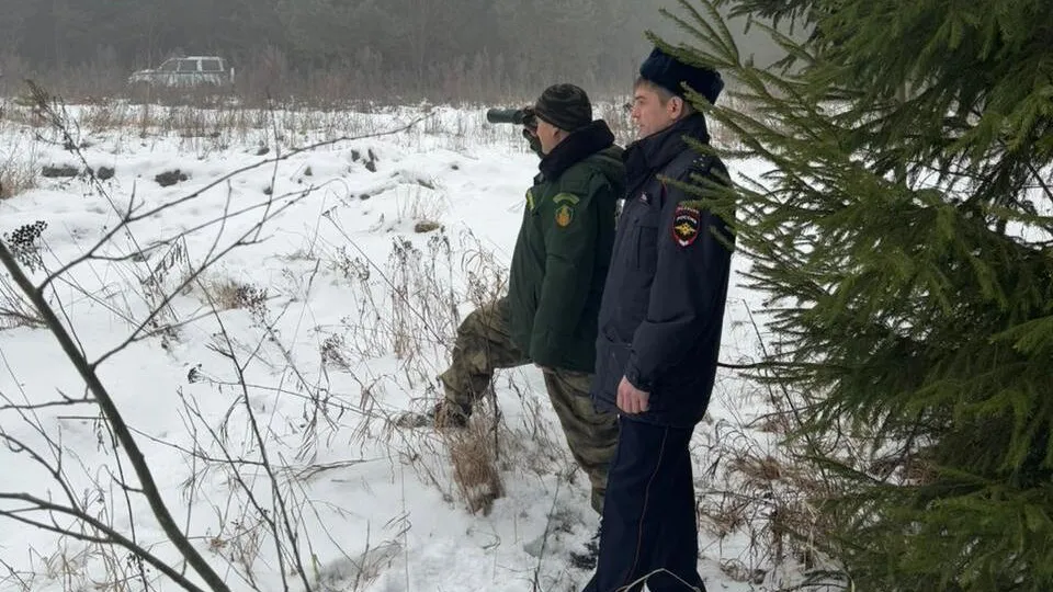 Фото: пресс-служба Комитета лесного хозяйства Московской области