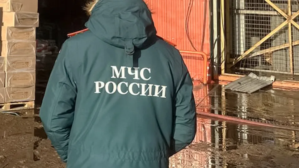 Фото: МедиаБанк Подмосковья/Эдуард Стратонов